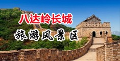 美女日逼视频网战下载中国北京-八达岭长城旅游风景区